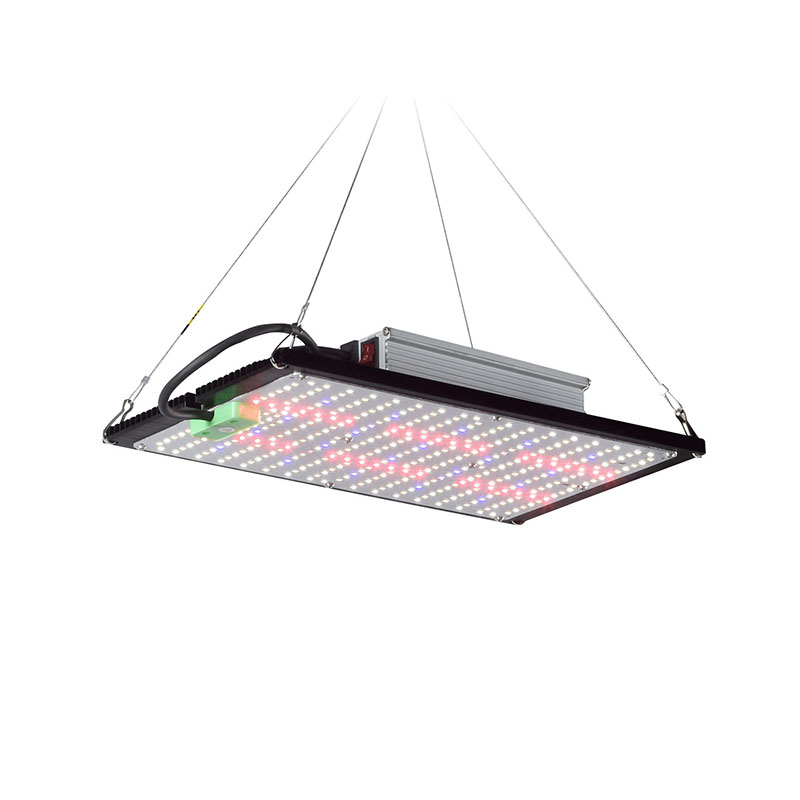 Led Grow Light - Lámpara de Cultivo LED Quantum-Board de