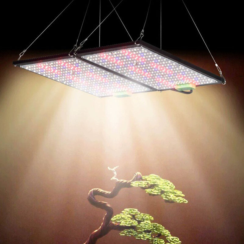 Lámpara de Cultivo LED Quantum - Led Grow Light reseña y precio