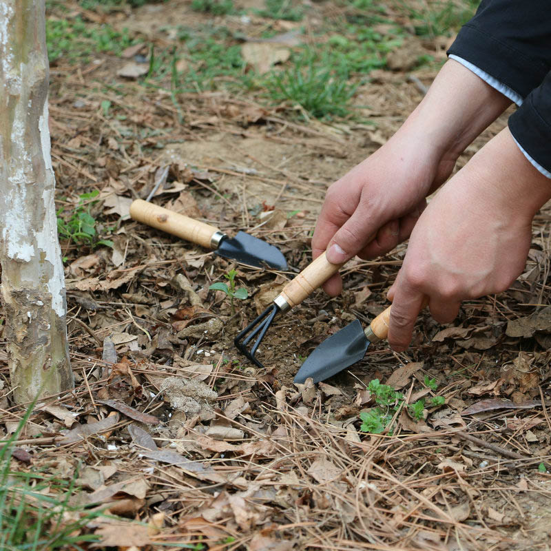 3 unids/set Mini juego de herr - Gardening Tools For Weeds reseña y precio