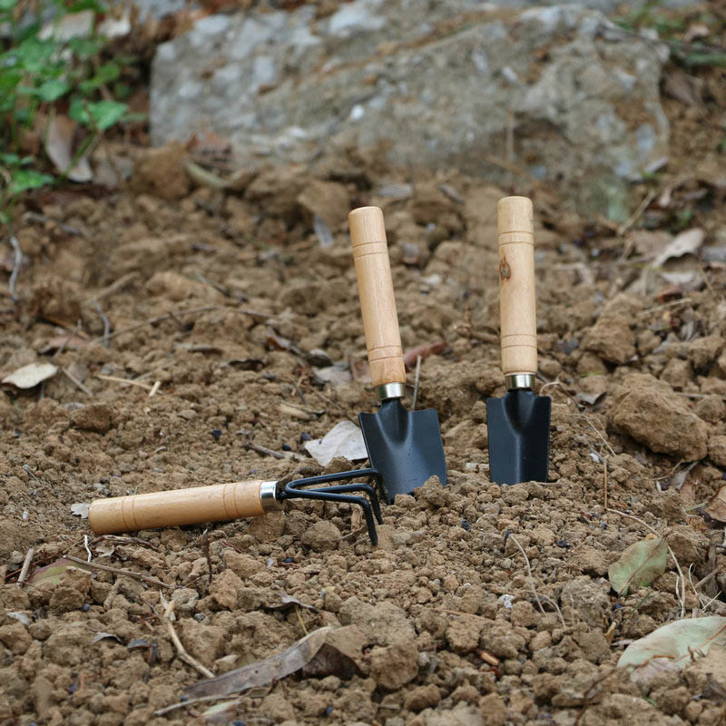 3 unids/set Mini juego de herr - Gardening Tools For Weeds reseña y precio