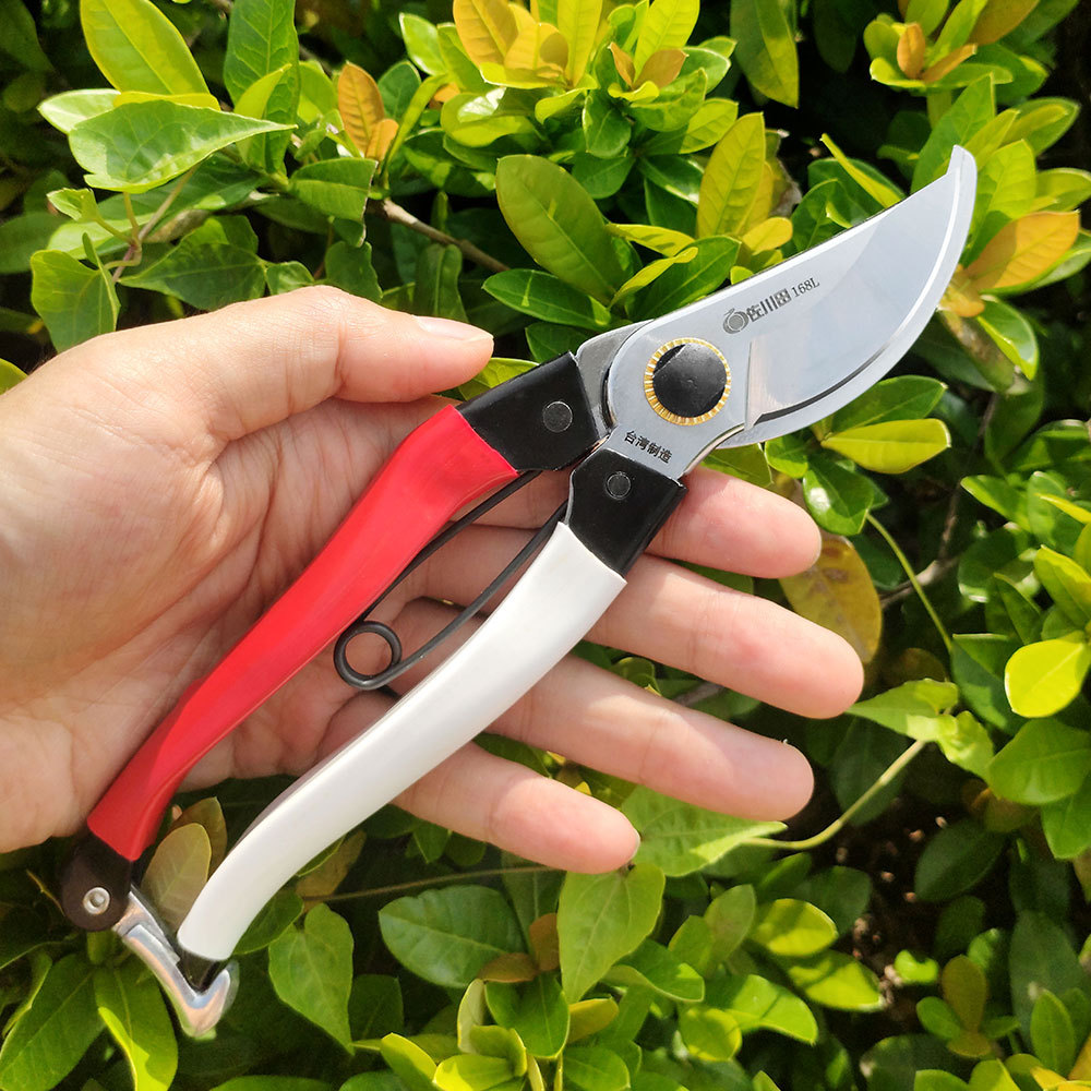 Tijeras de podar Sakawada de T - Gardening Tools In Japan reseña y precio