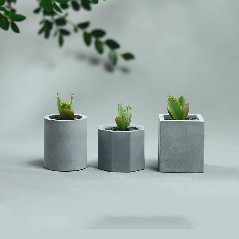 Molde de silicona para maceta  - Gardening Tools Cute reseña y precio