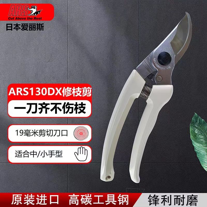 Tijeras de podar, herramientas - Gardening Tools In Japan reseña y precio