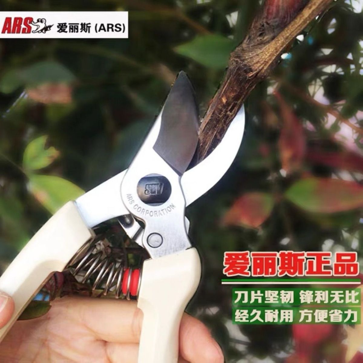 Tijeras de podar, herramientas - Gardening Tools In Japan reseña y precio
