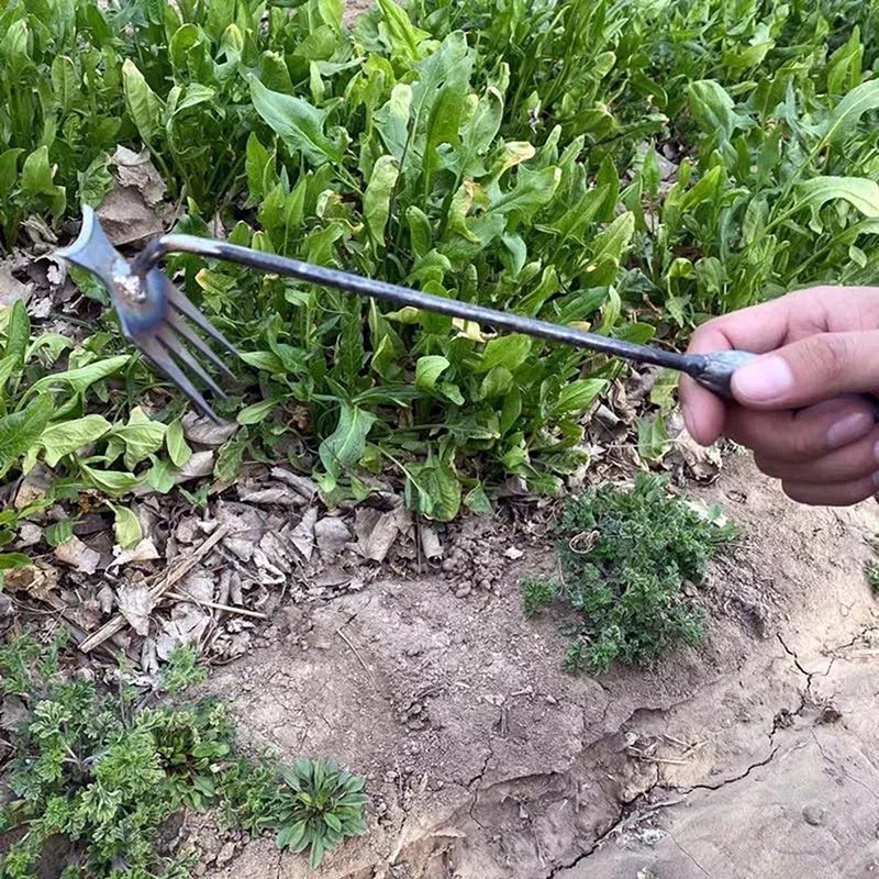Desmalezador manual de jardín  - Gardening Tools For Weeds reseña y precio