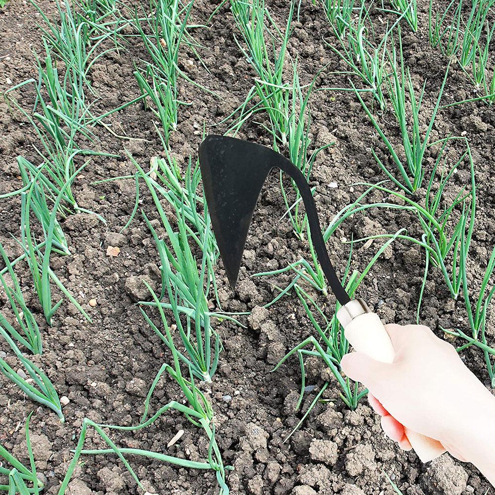 Azadas triangulares para granj - Gardening Tools For Weeds reseña y precio