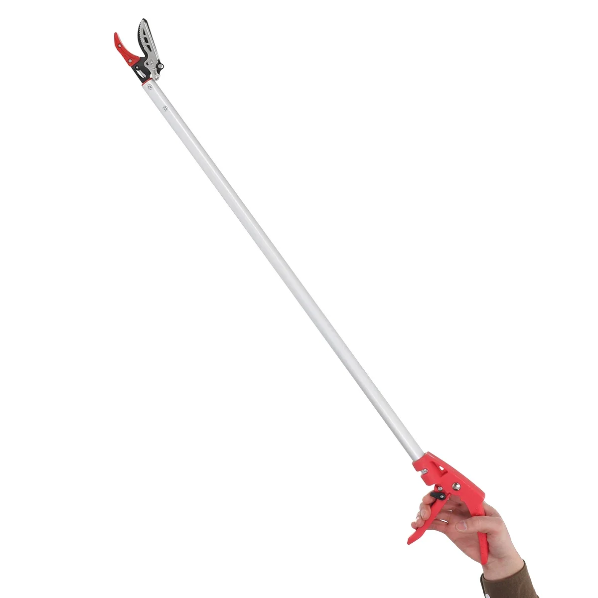 Tijeras de podar árboles de ja - Gardening Tools Knife reseña y precio