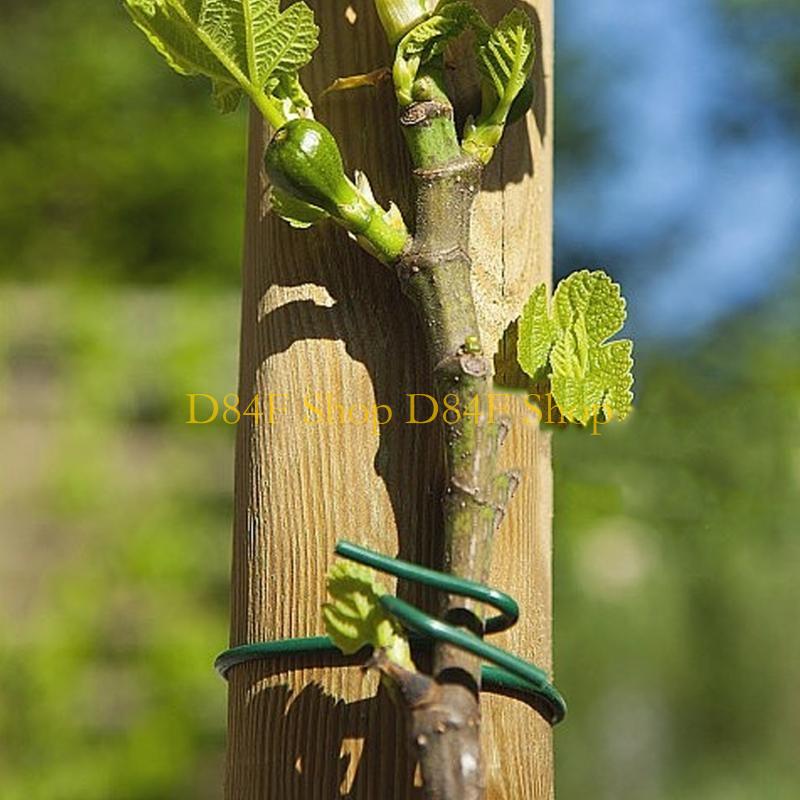 D84F 2,5 mm x 10 m Verde Suave - Garden Wire Twist Tie reseña y precio