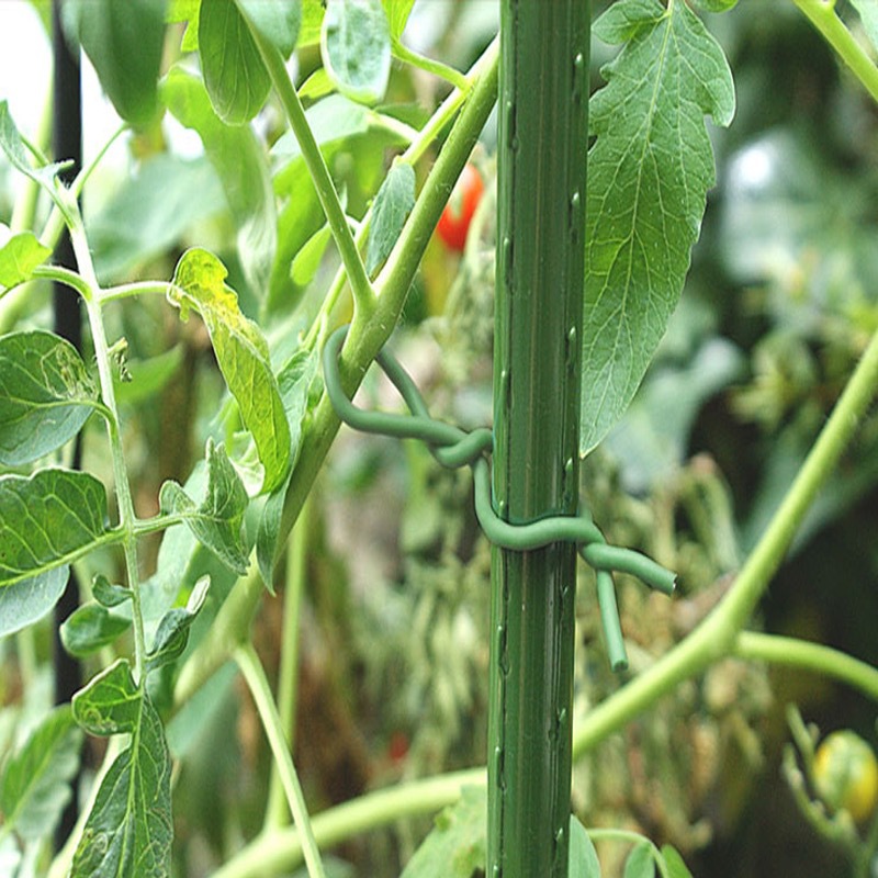 Jardinería plantas reutilizabl - Garden Wire Twist Tie reseña y precio
