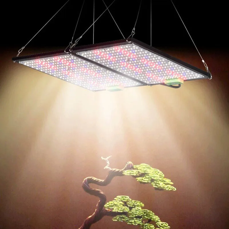 Lámpara de Cultivo LED Quantum - Led Grow Light reseña y precio